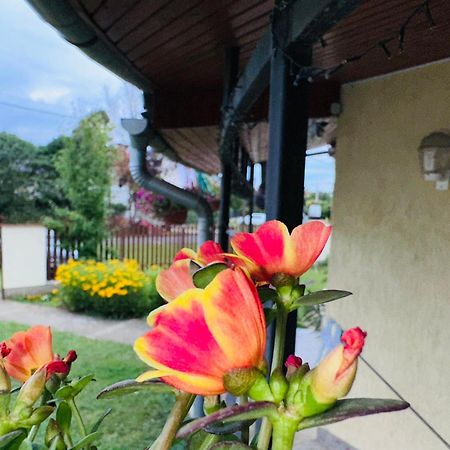 久洛Cozy Garden Apartman公寓 外观 照片