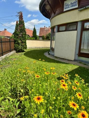 久洛Cozy Garden Apartman公寓 外观 照片