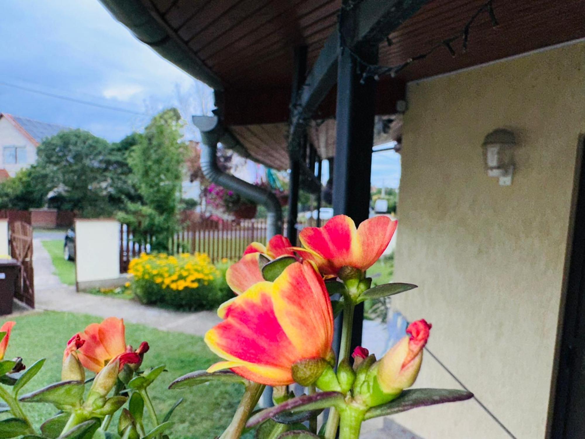 久洛Cozy Garden Apartman公寓 外观 照片