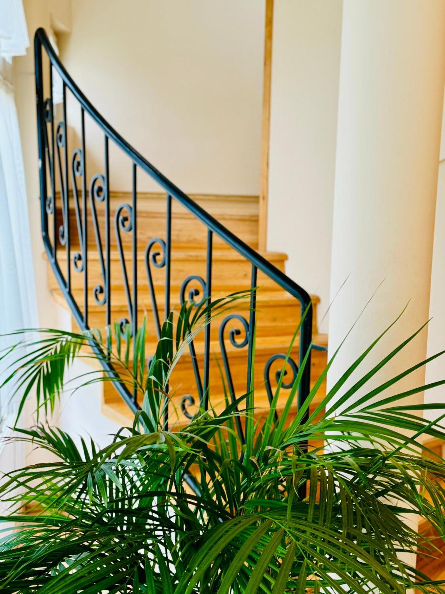 久洛Cozy Garden Apartman公寓 外观 照片